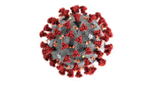 Coronavirus and COVID-19 terms Explained